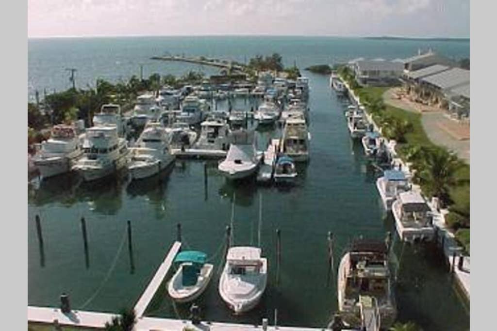 Licensed Mgr - 2/2 Villa - Oceanfront Beach Resort - Saltwater Lagoon & Marina! Ки Ларго Экстерьер фото